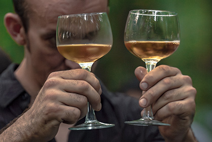 Drops of God—two glasses of wine being held up to sunlight.